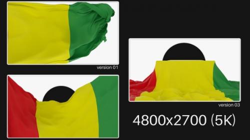 Videohive - Pack Of Guinea Flag On Alpha - 47467069