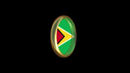 Videohive - Guyana Flag Animation - 47506774