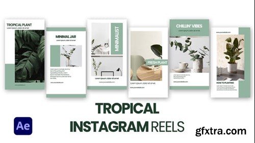 Videohive Tropical Instagram Reels 47148520