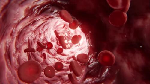 Videohive - 3D animation of a healthy blood flowing through artery - 46847205