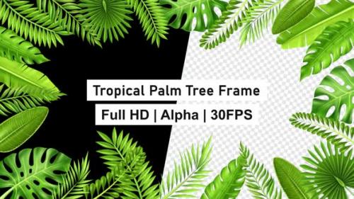 Videohive - Tropical Palm Tree Branches Frame with Alpha - 47530650