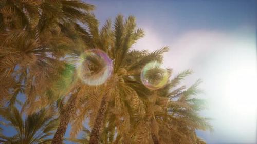 Videohive - Palm Trees Vintage Toned Perspective View to the Sky - 47558448