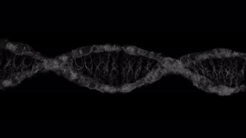 Videohive - DNA animation 4k video - 47563628