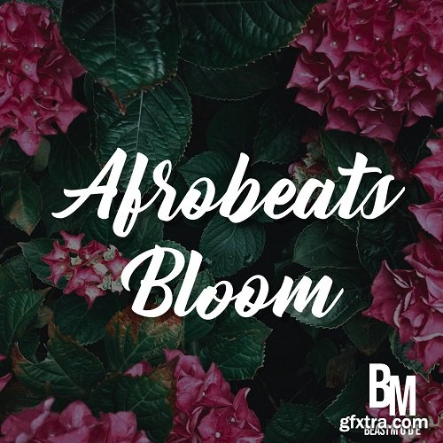 Beast Mode Afrobeats Bloom