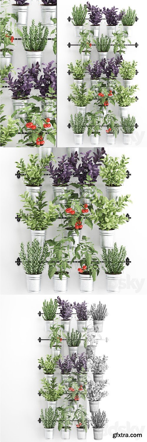 Vertical gardening. 33. Kitchen garden, vegetable garden, vegetables, herbs, tomatoes, rosemary, basil, railing, phytowall, phytomodule