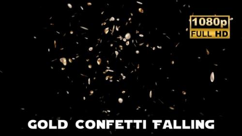 Videohive - Gold Confetti Falling - 47576974