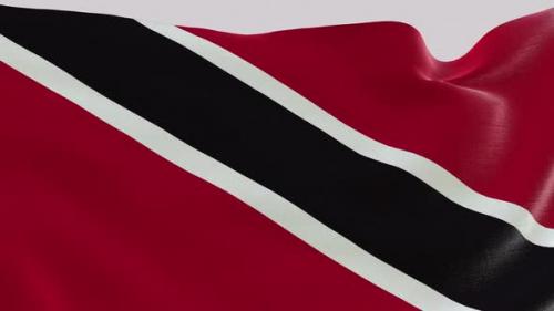 Videohive - Trinidad Fabric Flag - 47577500