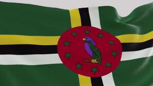 Videohive - Dominica Fabric Flag - 47577676