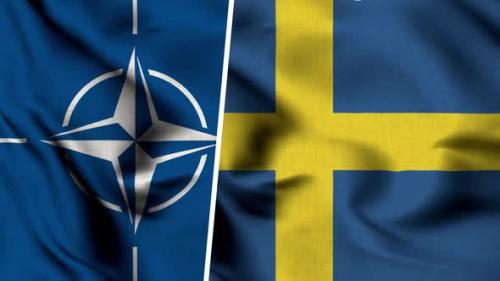 Videohive - Nato Flag And Flag Of Sweden - 47577793
