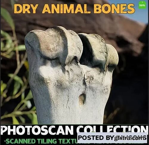 Dry Animal Bones - Photoscan Vol 2 v4.19+