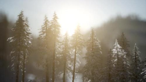 Videohive - Dramatic Winter Sunrise in the Mountains - 47581472