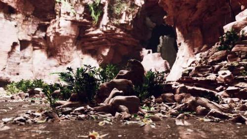 Videohive - Large Fairy Rocky Cave with Green Plants - 47581767