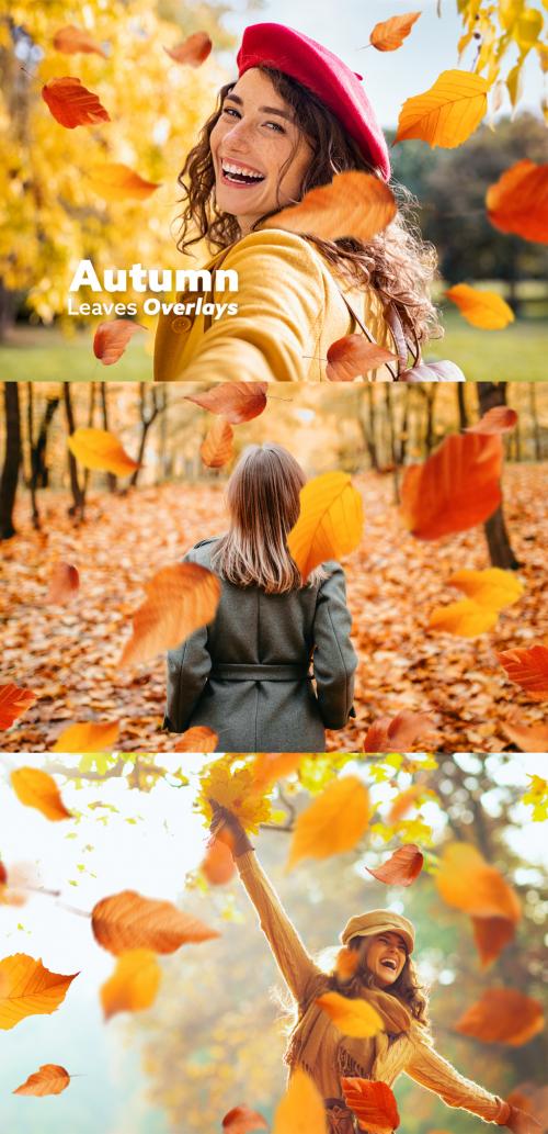 Autumn Leaves Overlays 637365669