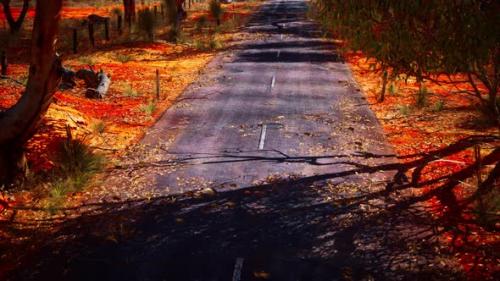 Videohive - Open Road in Australia with Bush Trees - 47581824