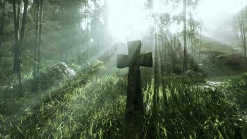Videohive - Weatherbeaten Grave Marker in the Tropical Forest - 47592487