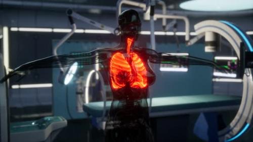 Videohive - Human Lungs Radiology Exam in Laboratory - 47592789