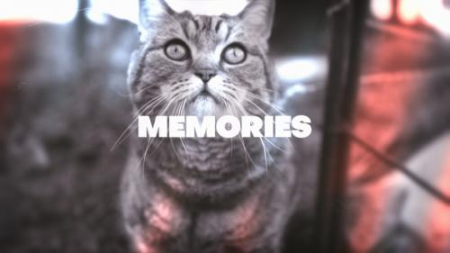 Videohive - Memories Looks - 47621804