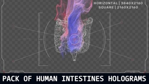 Videohive - Pack Of Human Intestines Holograms - 47599973