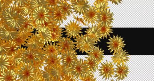 Videohive - 3d Gold Flowers Transition Animation - 47604027