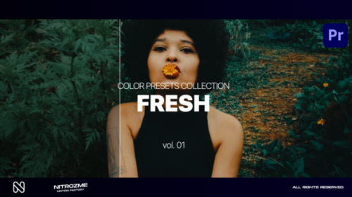 Videohive - Fresh LUT Collection Vol. 01 for Premiere Pro - 47632773