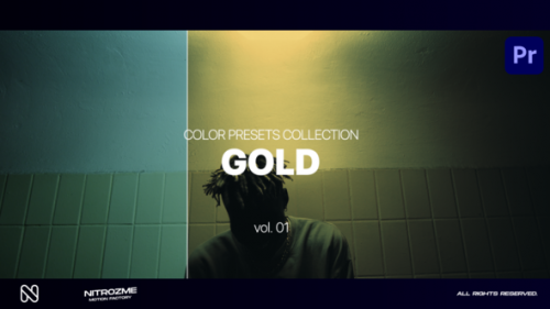 Videohive - Gold LUT Collection Vol. 01 for Premiere Pro - 47632785