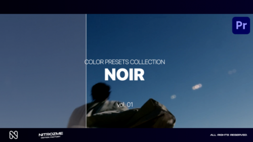 Videohive - Noir LUT Collection Vol. 01 for Premiere Pro - 47632809