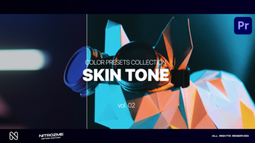 Videohive - Skin LUT Collection Vol. 02 for Premiere Pro - 47632821