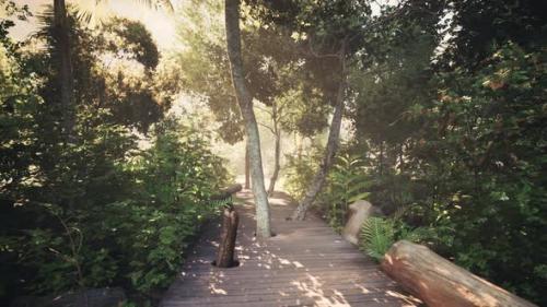 Videohive - Wooden Deck Path in the Forest - 47639402
