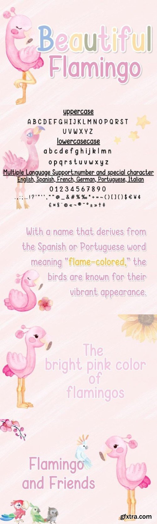 Beautiful Flamingo Font
