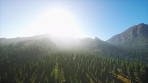 Videohive - Majestic Mountains with Forest Foreground in Canada - 47640593