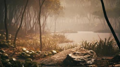 Videohive - Sunrise with Sunbeams Through the Forest By the Lake - 47640658