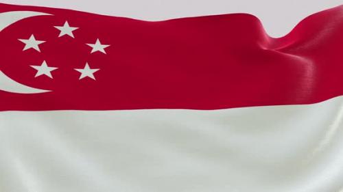 Videohive - Singapore Fabric Flag - 47635502