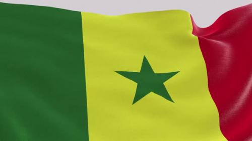 Videohive - Senegal Fabric Flag - 47635525