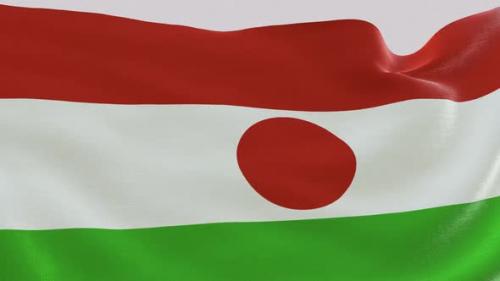 Videohive - Niger Fabric Flag - 47635561