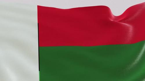 Videohive - Madagascar Fabric Flag - 47635609