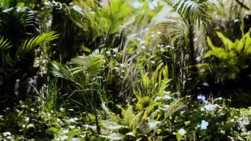 Videohive - Close Up Jungle Grass and Plants - 47639449