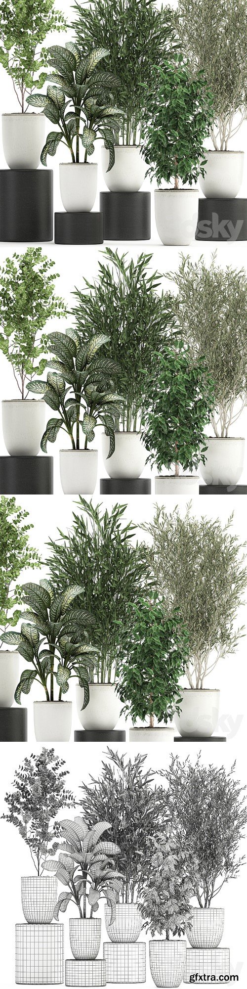 Plant collection 819. White flowerpot, pot, Bamboo, Olive, tree, Ficus, Dieffenbachia, Scandinavian style, tree, interior