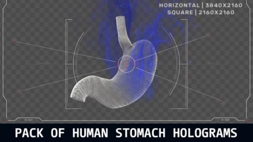 Videohive - Pack Of Human Stomach Holograms - 47631711