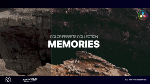 Videohive - Memories LUT Collection Vol. 01 for DaVinci Resolve - 47700641