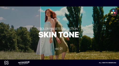 Videohive - Skin LUT Collection Vol. 01 for DaVinci Resolve - 47700657