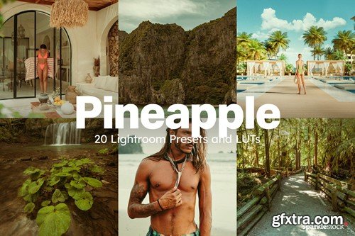 20 Pineapple LUTs & Lightroom Presets M8U3GWM