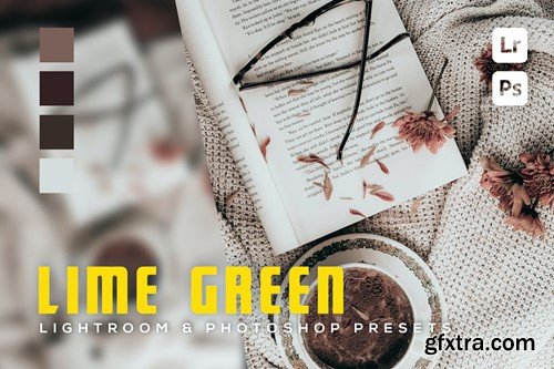 6 Lime Green Lightroom and Photoshop Presets BLBX52B