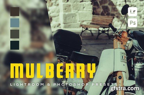 6 Mulberry Lightroom and Photoshop Presets BJNU3G7