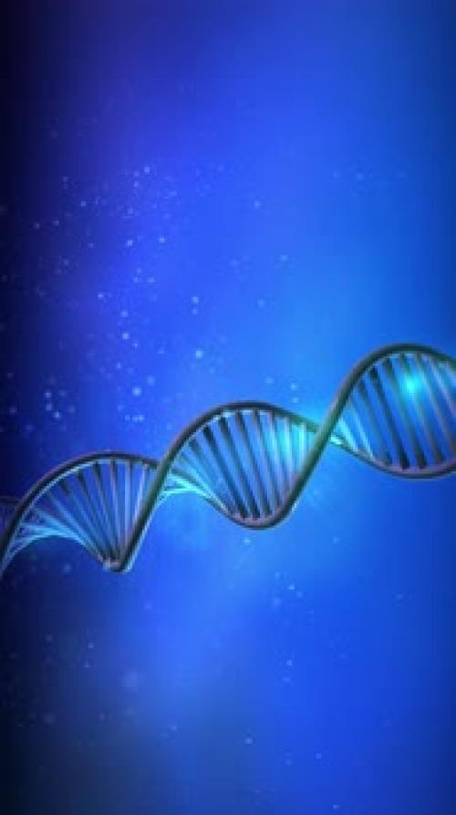 Videohive - DNA Strand Spins on a Blue Background - 47688550