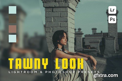 6 Tawny look Lightroom and Photoshop Presets SJUNUYH