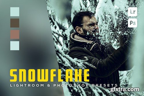 6 Snowflake Lightroom and Photoshop Presets 27BHM4X