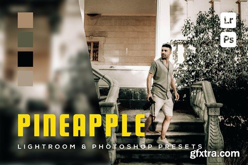 6 Pineapple Lightroom and Photoshop Presets R2S8JRV