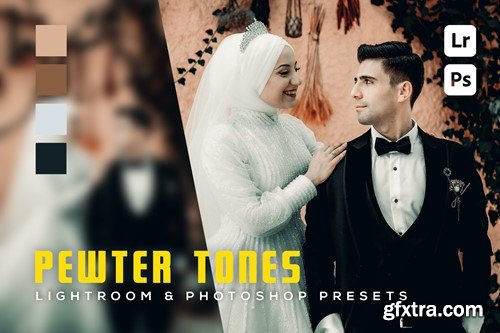 6 Pewter tones Lightroom and Photoshop Presets VKCZVFT