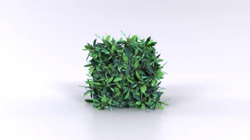 Videohive - Small Hedge 3d object rotating loop - 47698779