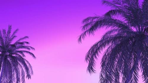 Videohive - Palm Trees And Purple Sky - 47701800
